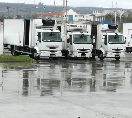 02_2019_jan_03_carrosPequenso