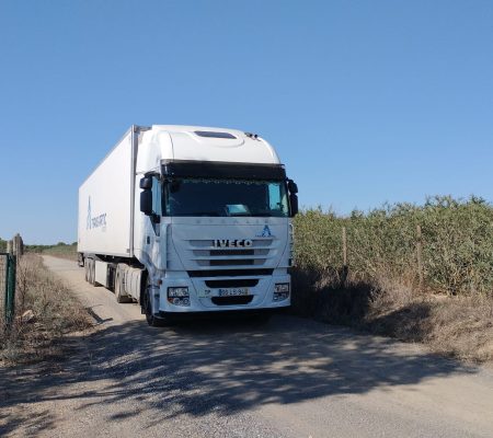 Imagem WhatsApp 2023-12-13 às 15.54.17_499bd616